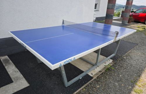 5 Monteur-Ferienwohnungen nähe Badesee mit Bergblick - Foto 73