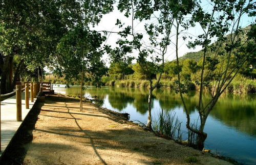 Apartamentos Sureda - Photo 79