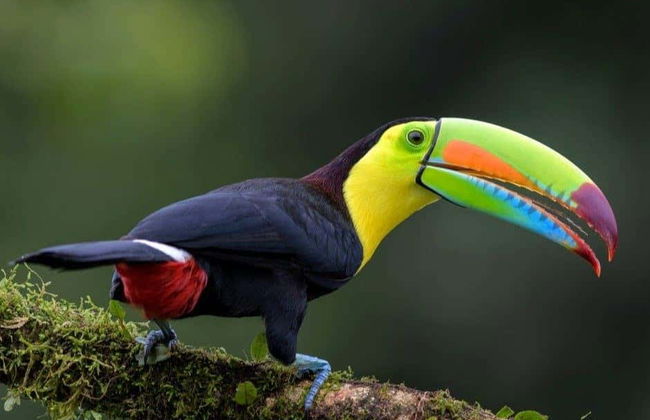 Trilha pela Reserva Curi Cancha - Foto 3