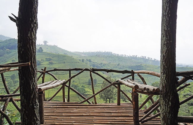 Hotel O Eco Tourism Desa Cipada Bukit Senyum Homestay Syariah - Photo 36