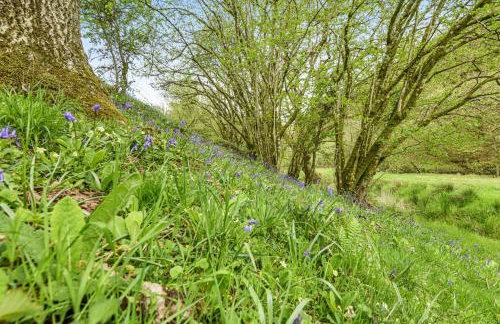 West Hollowcombe Farm Cottages - full site booking - Foto 43