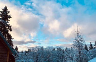 Chalet du Bois Joli - Foto 23