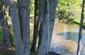 Natura Apartamenty - Foto 61