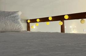 Tiny House Armação - Photo 13