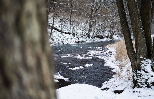 Wmm020 in Manet n With 7 Bedrooms and 8 Bathrooms - Foto 46