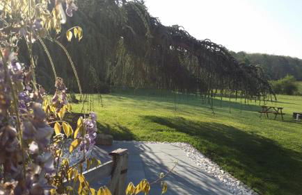 Cottage Prairie Bonheur - Foto 36