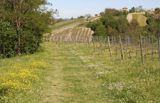 Belvilla by OYO Casa Magnano Ziano - Foto 33