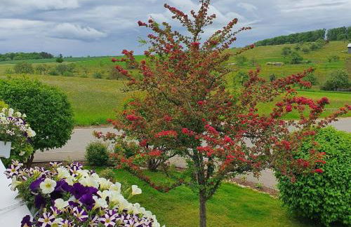 Biosphärenzimmer Bad Urach - Photo 8