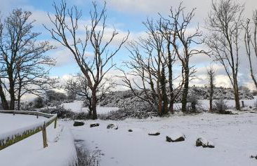 Fodol Cottages - Foto 46