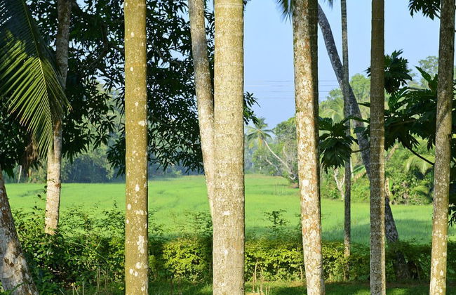 Dutch Colonial Period Villa In Contemporary Style - Foto 11