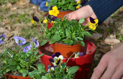 Mas Franch - Foto 19