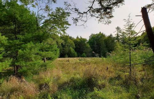 Little Birds Treehouse - Foto 9