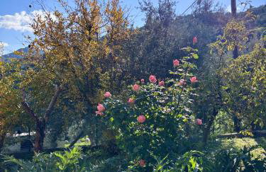 Δωμάτια Εξοχή-With fireplace and view to the sea - Foto 27