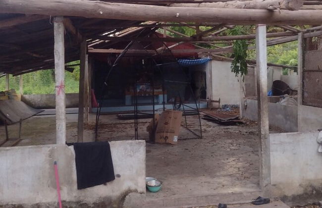 Backpackers Temple - Foto 15