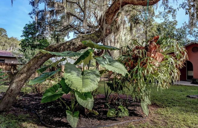 Lakeview Escape Kayaks - Foto 13