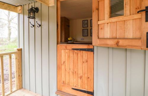 Bracken Fern - Photo 6