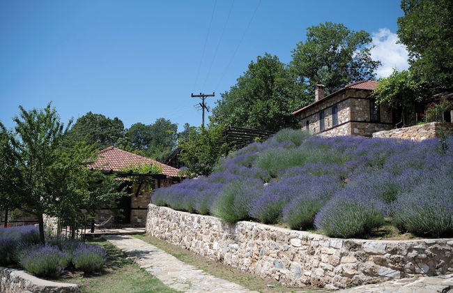 Ktima Bellou - Foto 13