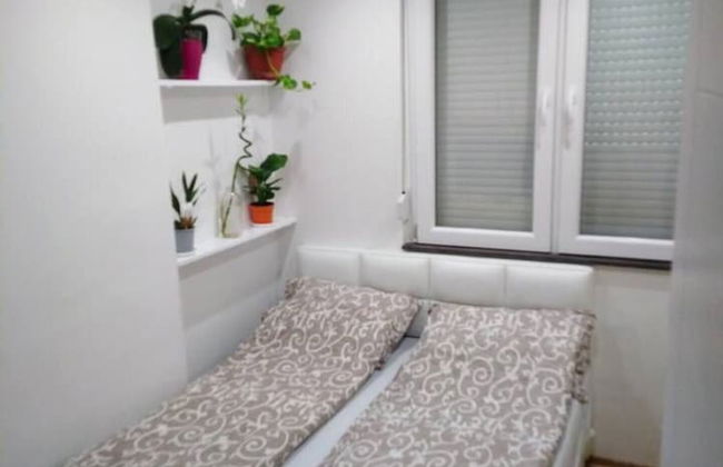 Lovely 2-bed Apartment in Novi Sad - Photo 2