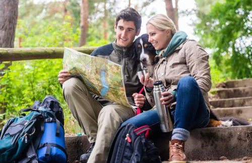 Landhaus Zimmermann - Foto 40