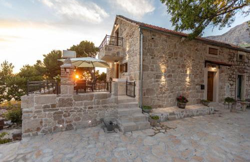 Ivićev san - Foto 12