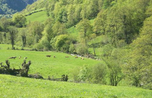 Venta la Aurora - Foto 9