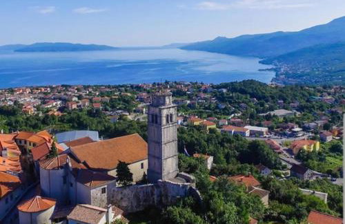 Jane's Garden - Foto 39