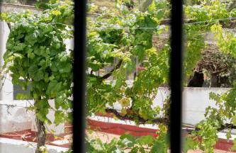 Apartamento Los Lirios - Foto 25