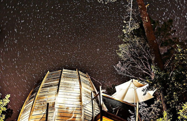 Cap'Cabane - Foto 14