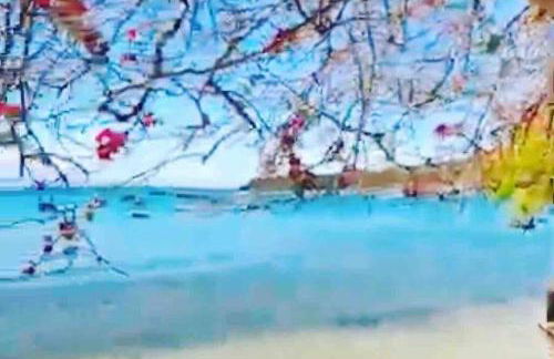 Casa de Praia - Búzios - Foto 15