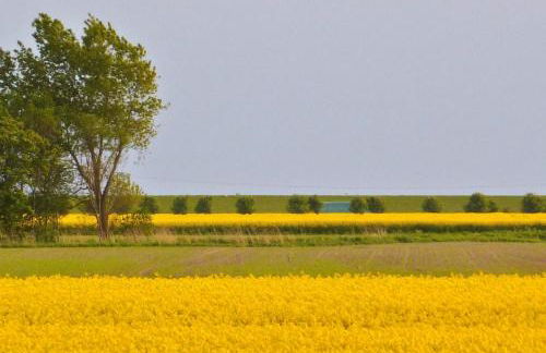 Wattenblick - Foto 9