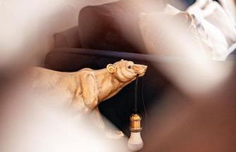 Big Tartiflat, Arc 1950, 2 bed ski-in ski-out - Foto 7