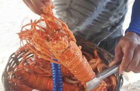 Cumbuco Kariri Beach - Photo 27