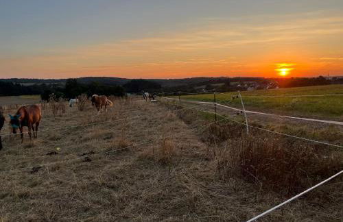 Ferienwohnung auf dem Bauernhof - Hermanns Lodge - Foto 23