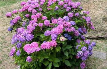 Villino Cecchini - Foto 23