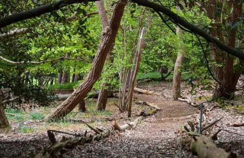 Laundry Cottage in a Nature Reserve - Sunday Times 100 coolest Cottages - Foto 6