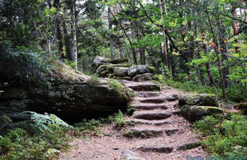 Gite Habsiger - Photo 30