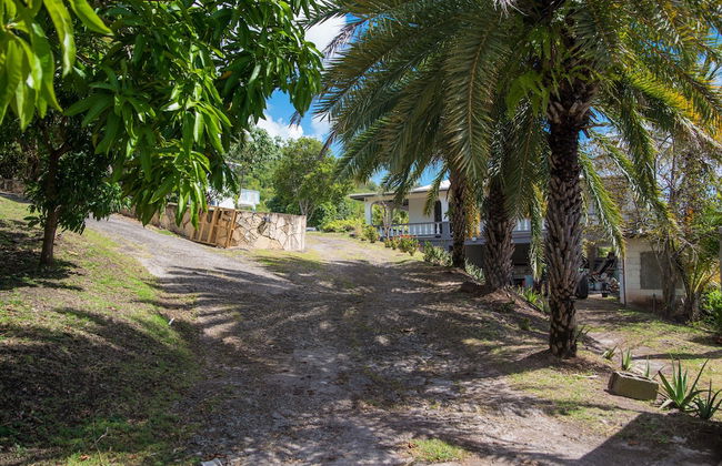 Ego Guesthouse - Foto 15