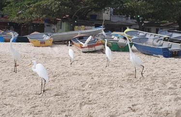 Andorinhas "Mini casa de hóspede" - Foto 56