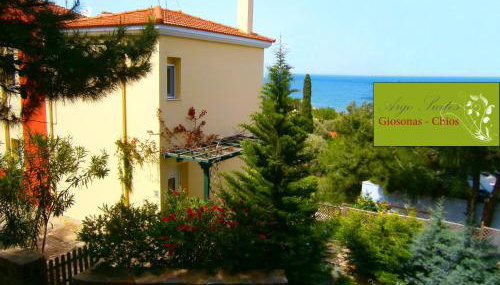 Argo Studios - Foto 3, Garden