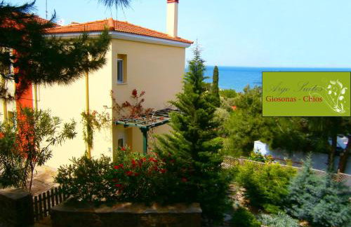 Argo Studios - Foto 3