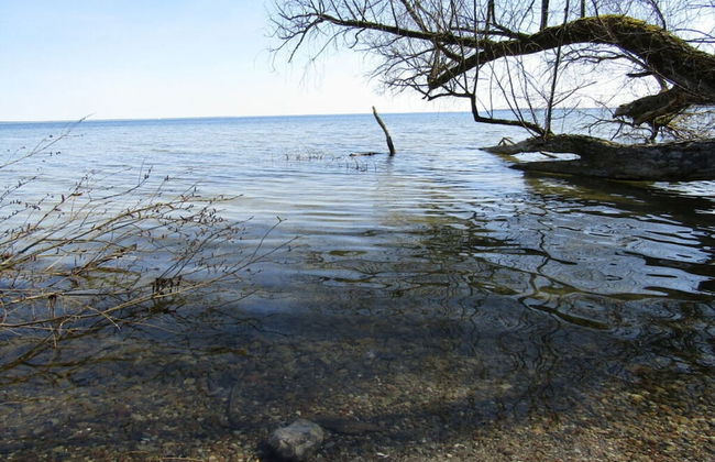 Holiday Apartment Hammann - Foto 26