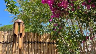 Studio avec rez de jardin - Foto 1, Garden view