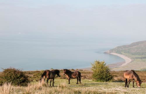 3 Old Police Station - Photo 37