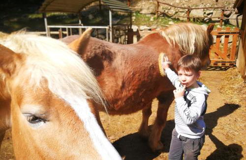 Agriturismo Alle Baite - Foto 75