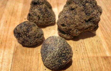 Le Petit Delphia - Photo 18