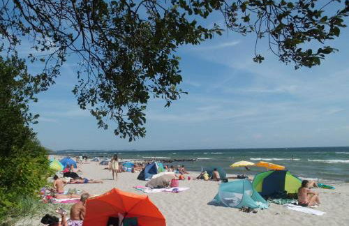 Villa Vogelsang - Foto 6