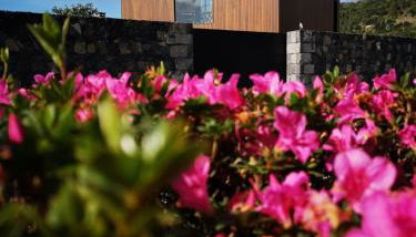 Oak Retreat House - Photo 2