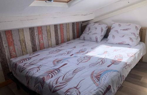 Le colibri - Foto 11