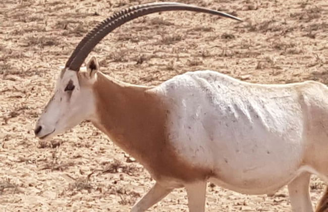 Le Jardin aux Etoiles - Foto 58