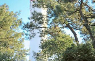 Studio Las Delicias by Interhome - Foto 22